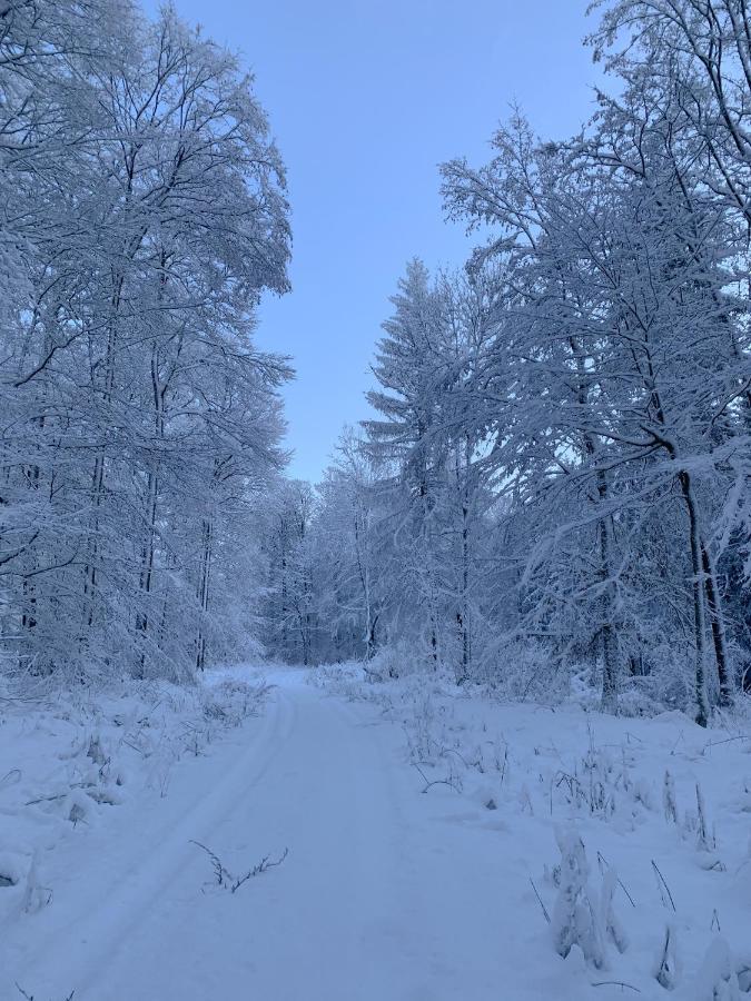 Ferienwohnung Inmitten Der Natur Mit Sauna Steinau an der Straße المظهر الخارجي الصورة